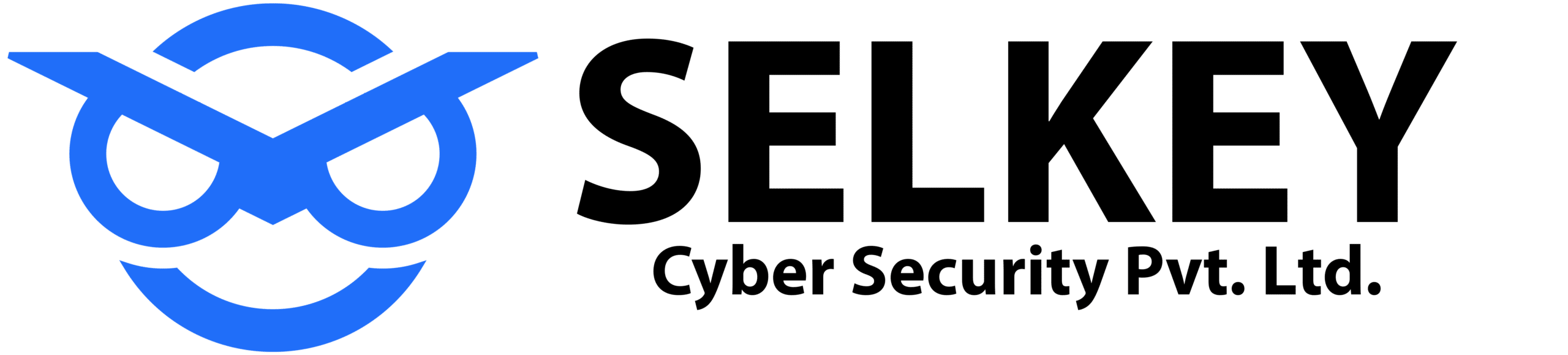 Selkey Cyber Security Pvt. Ltd. | Cybersecurity, Data Recovery, Web Development & IT Solutions